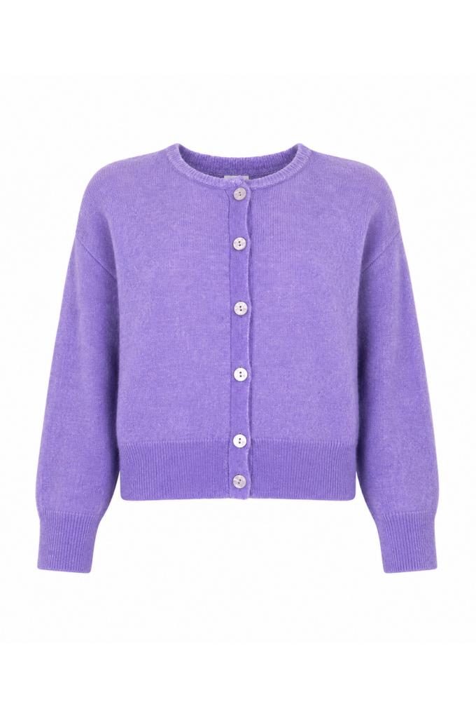 Arvada - Lilac