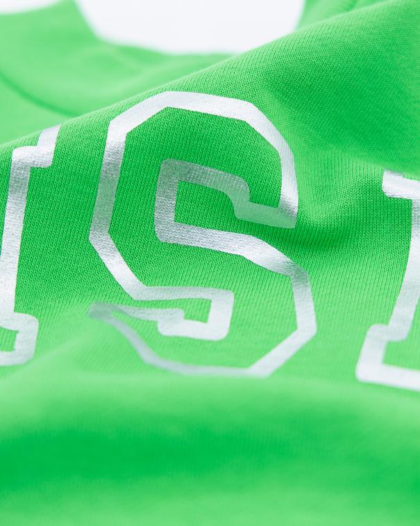Violeta Sweater Shine - Garden Green