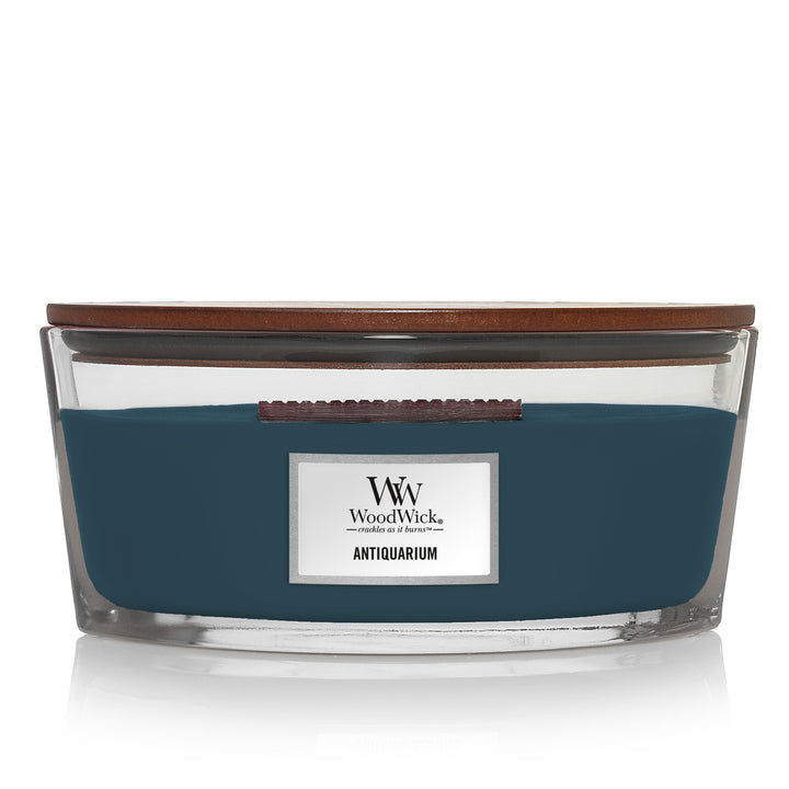 WW Antiquarium Ellipse Candle