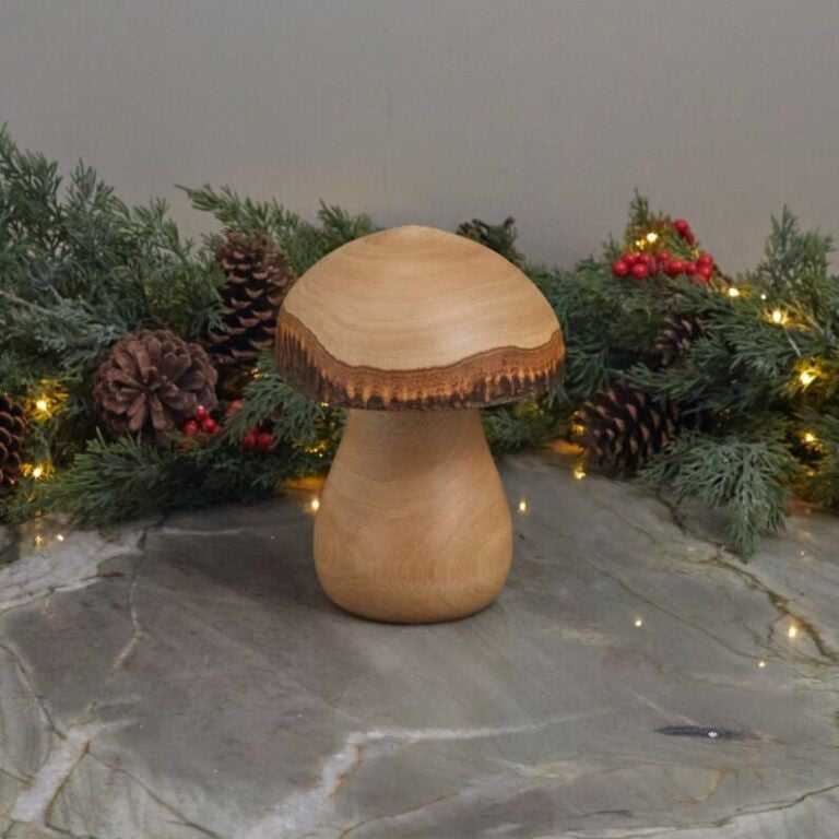 Champignon en bois de manguier Kiln, moyen