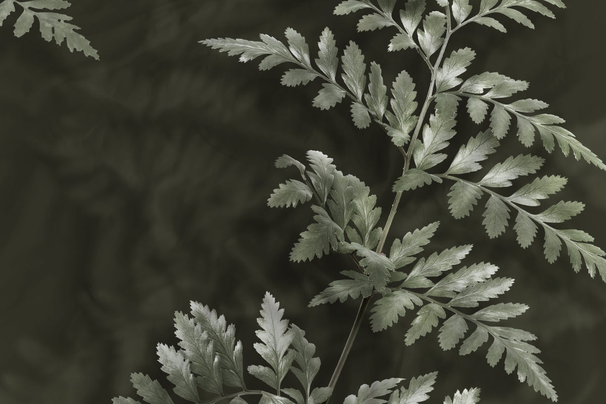 Heckettlane - Housse De Couette - Rua - Forest Green