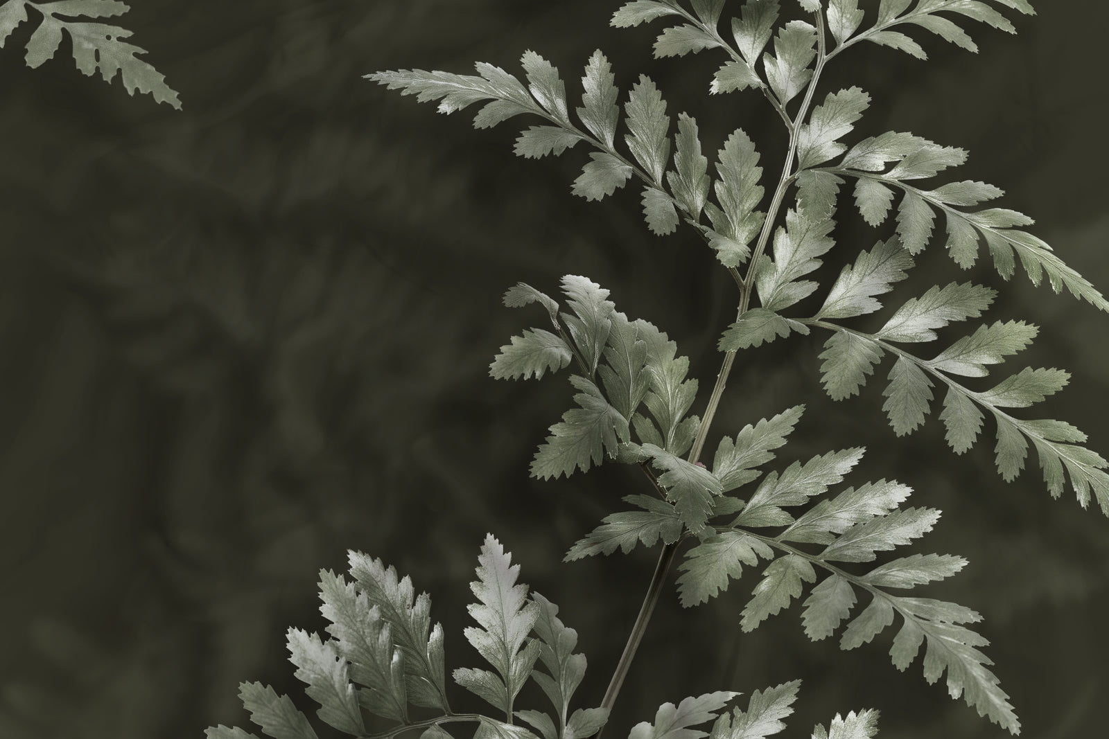 Heckettlane - Housse De Couette - Rua - Forest Green
