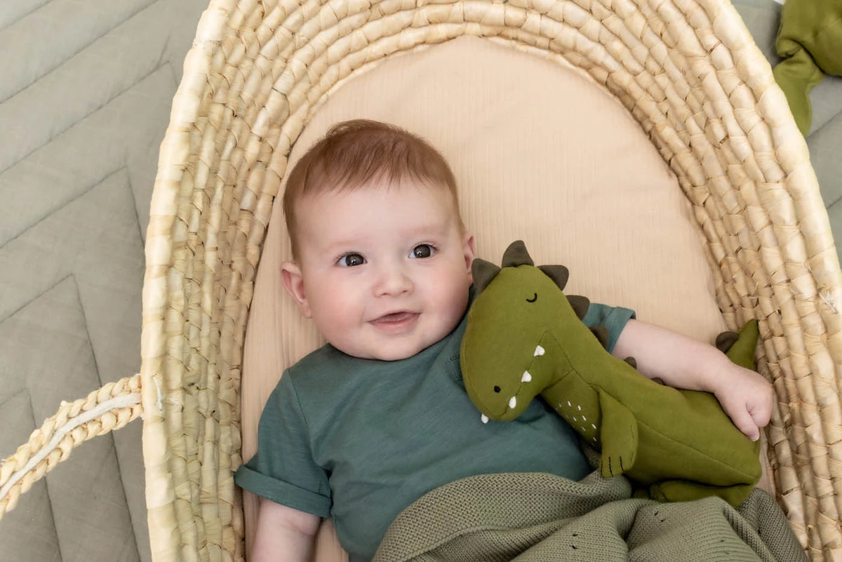 Peluche petite - Mr. Dino