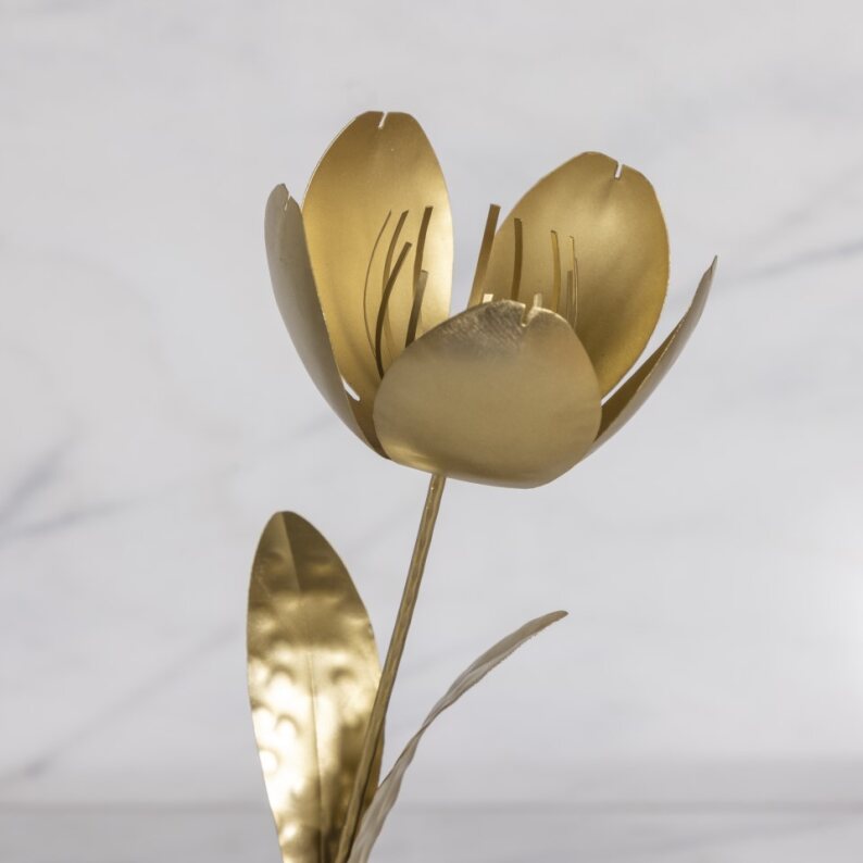 Botanische tak, tulp