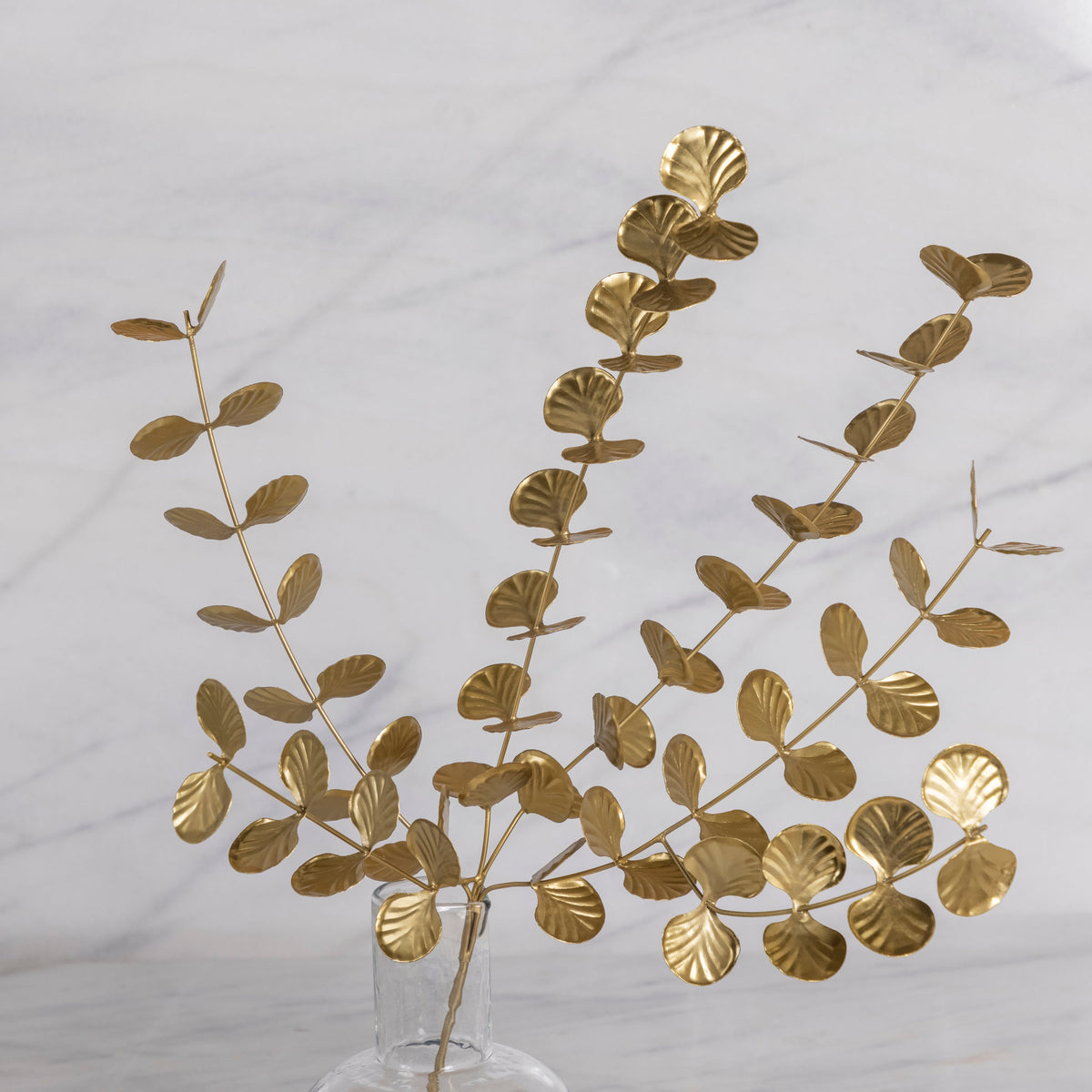 Botanische tak, eucalyptus