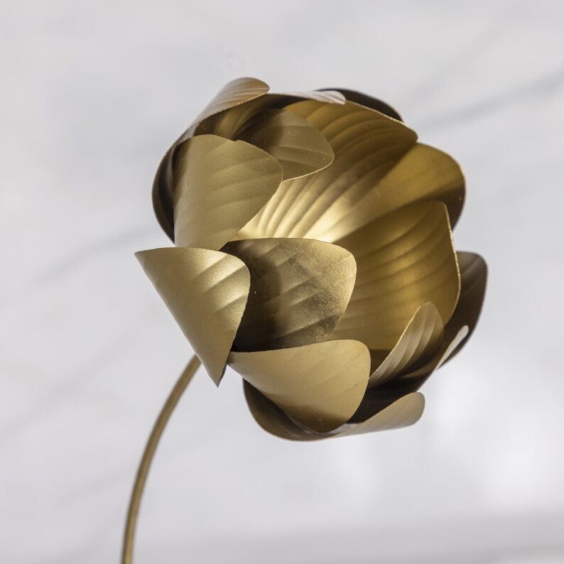 Botanische tak, pioenroos