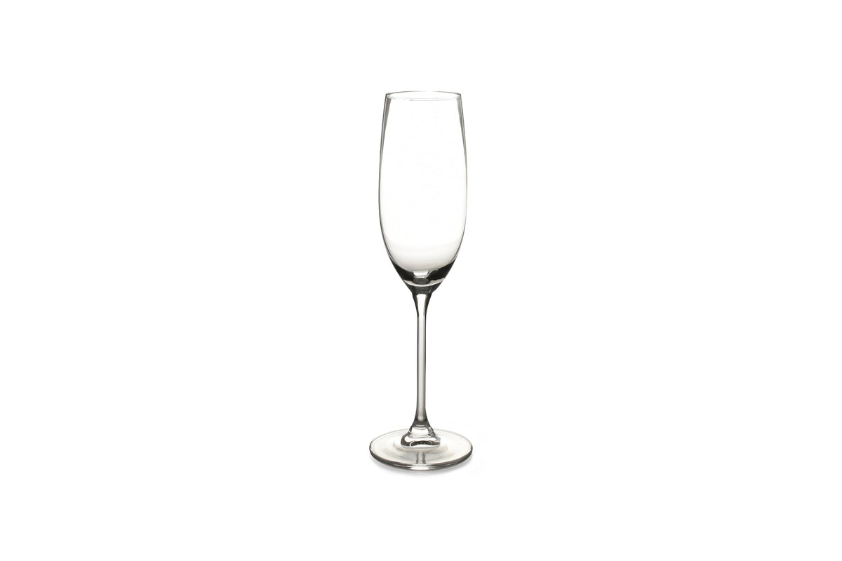 S&amp;P - Verre à champagne 21cl Tinta - set/6