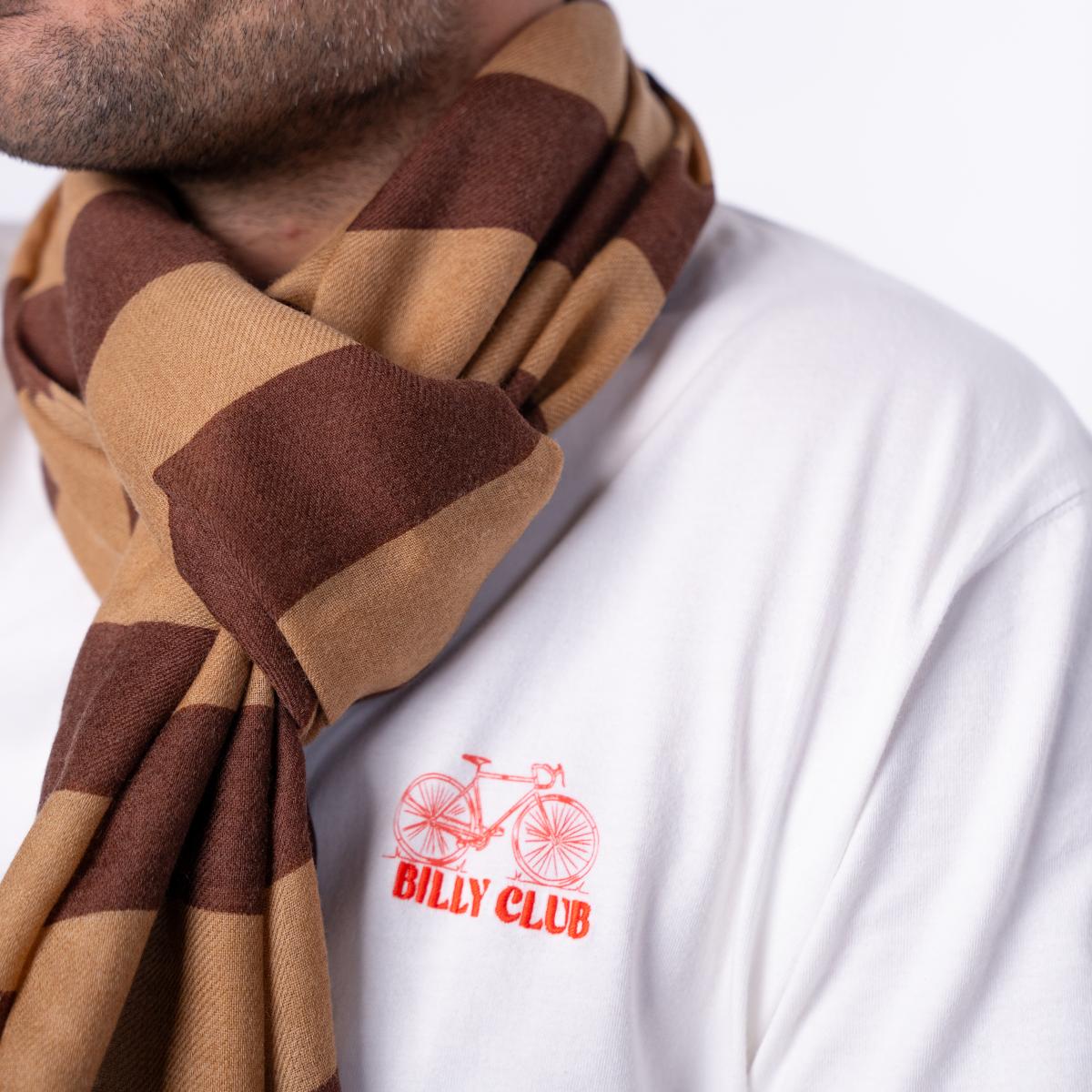 Foulard en laine - Marron et bleu