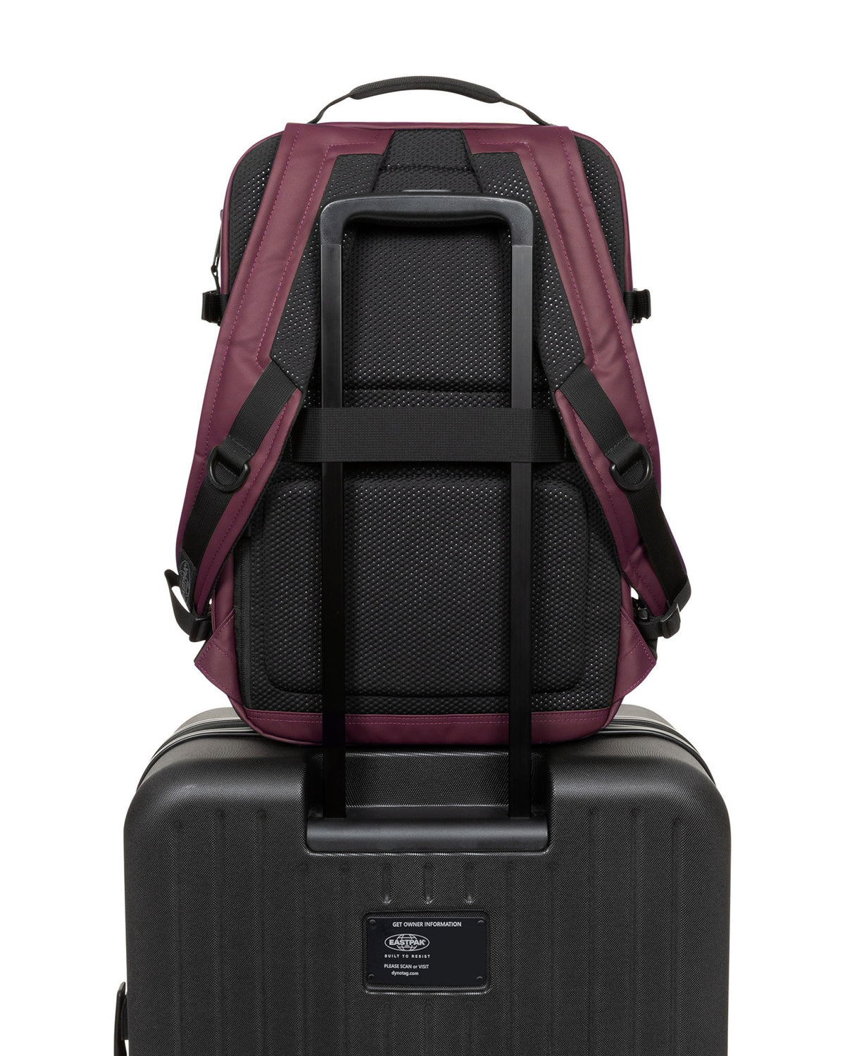 Tecum M Authentic Original Cnnct Top Fig