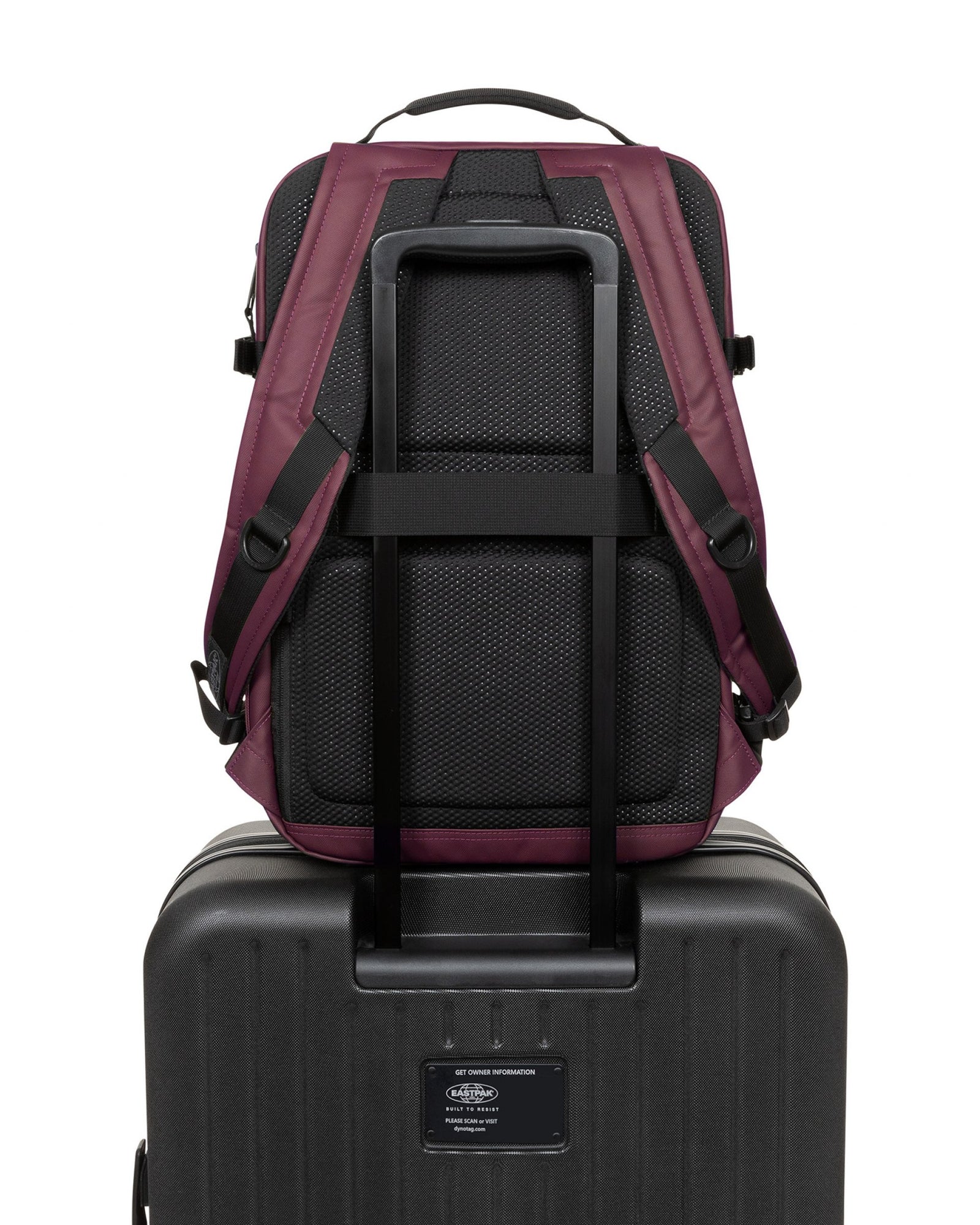 Tecum M Authentic Original Cnnct Top Fig