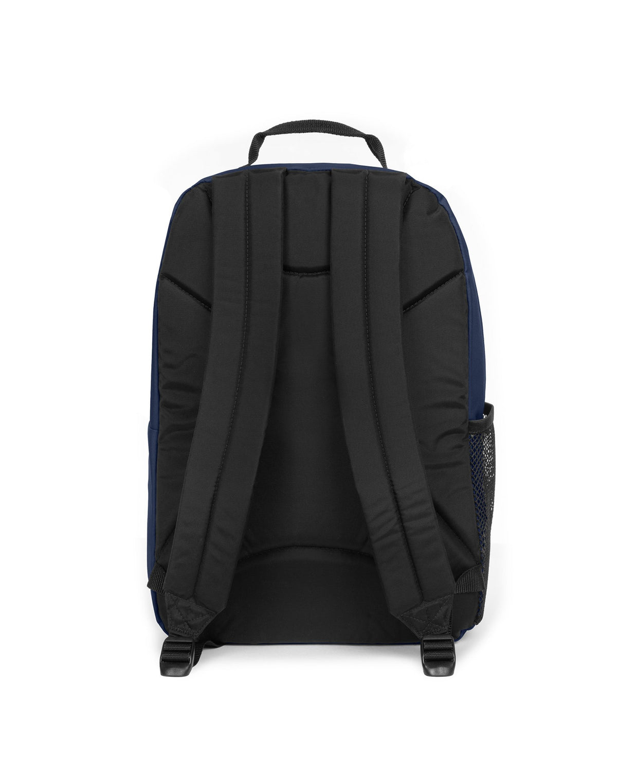 Study Buddy Authentic Original Nighttime Navy