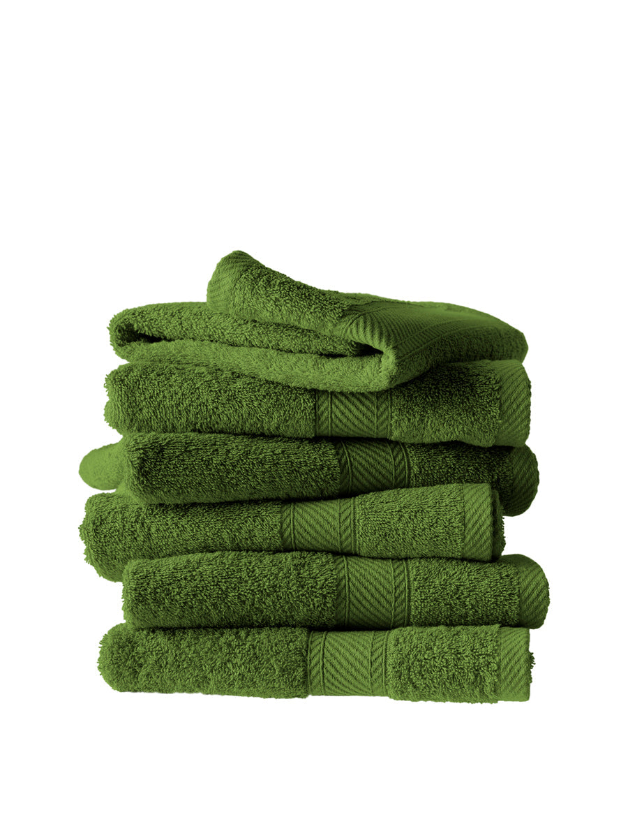 Smart Collection - Helene Cactus