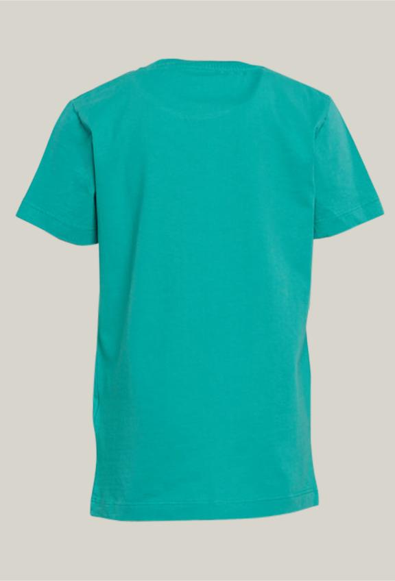 Basic Cotton T-Shirt Kiwi - Vert