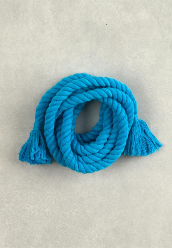 Petrol Rope Belt - Bleu