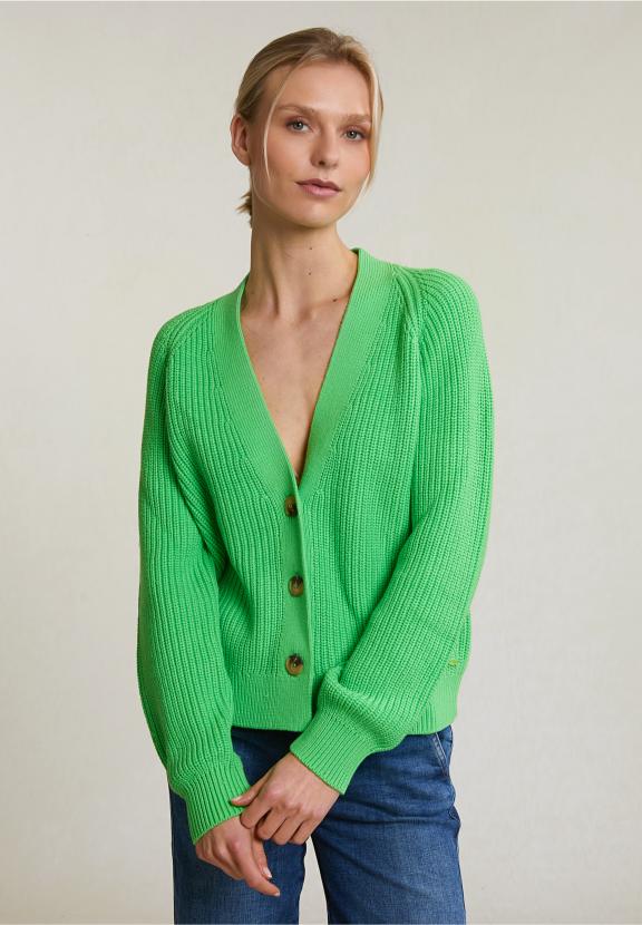 Green Buttoned V-Neck Cardigan Long Sleeves - Vert