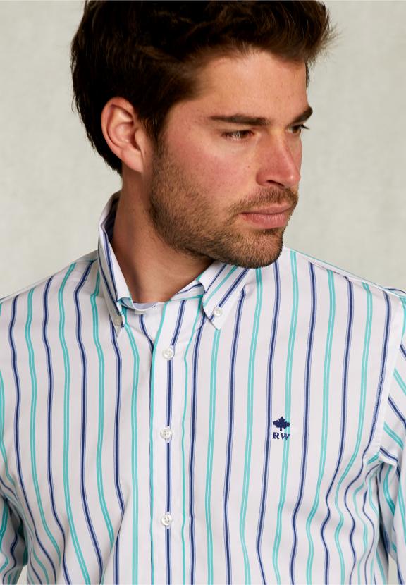 Slim Fit Striped Shirt Green/Blue - Vert