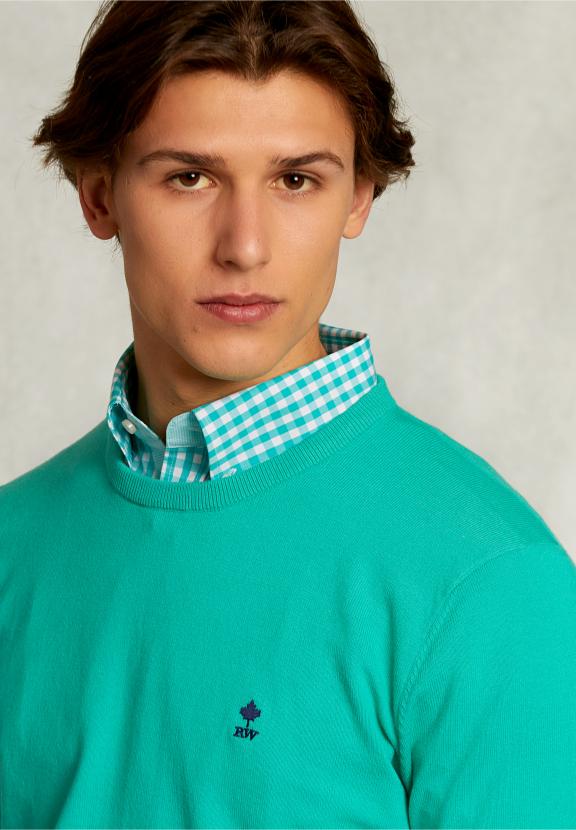 Normal Fit Basic Cotton Crew Neck Pullover Moscow Mule - Vert