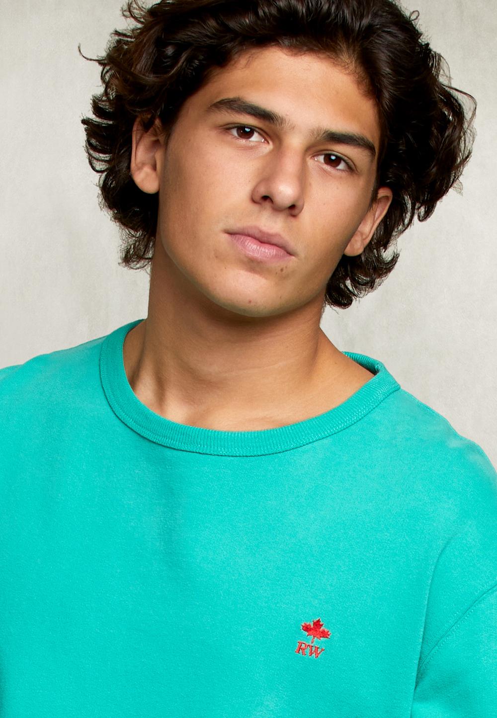 Basic Crew Neck Sweater Kiwi - Vert