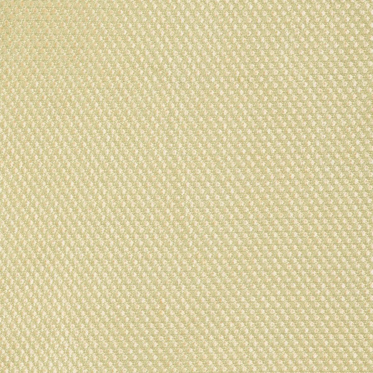 Veste bi-matières manches longues - Ivoire et marine - Beige