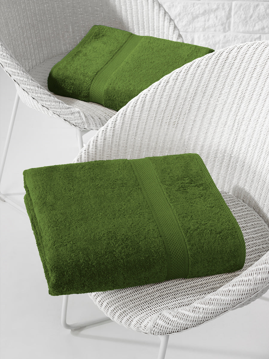 Smart Collection - Stephanie Cactus