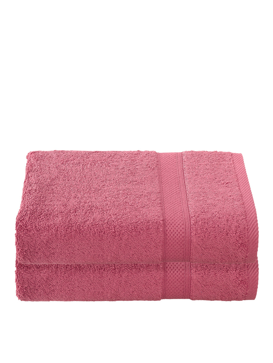 Smart Collection - Stephanie Carmine