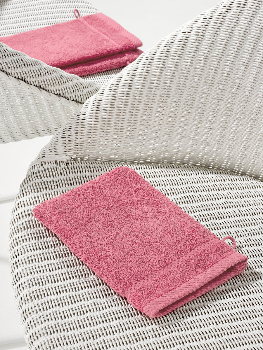 Smart Collection - Stephanie Carmine