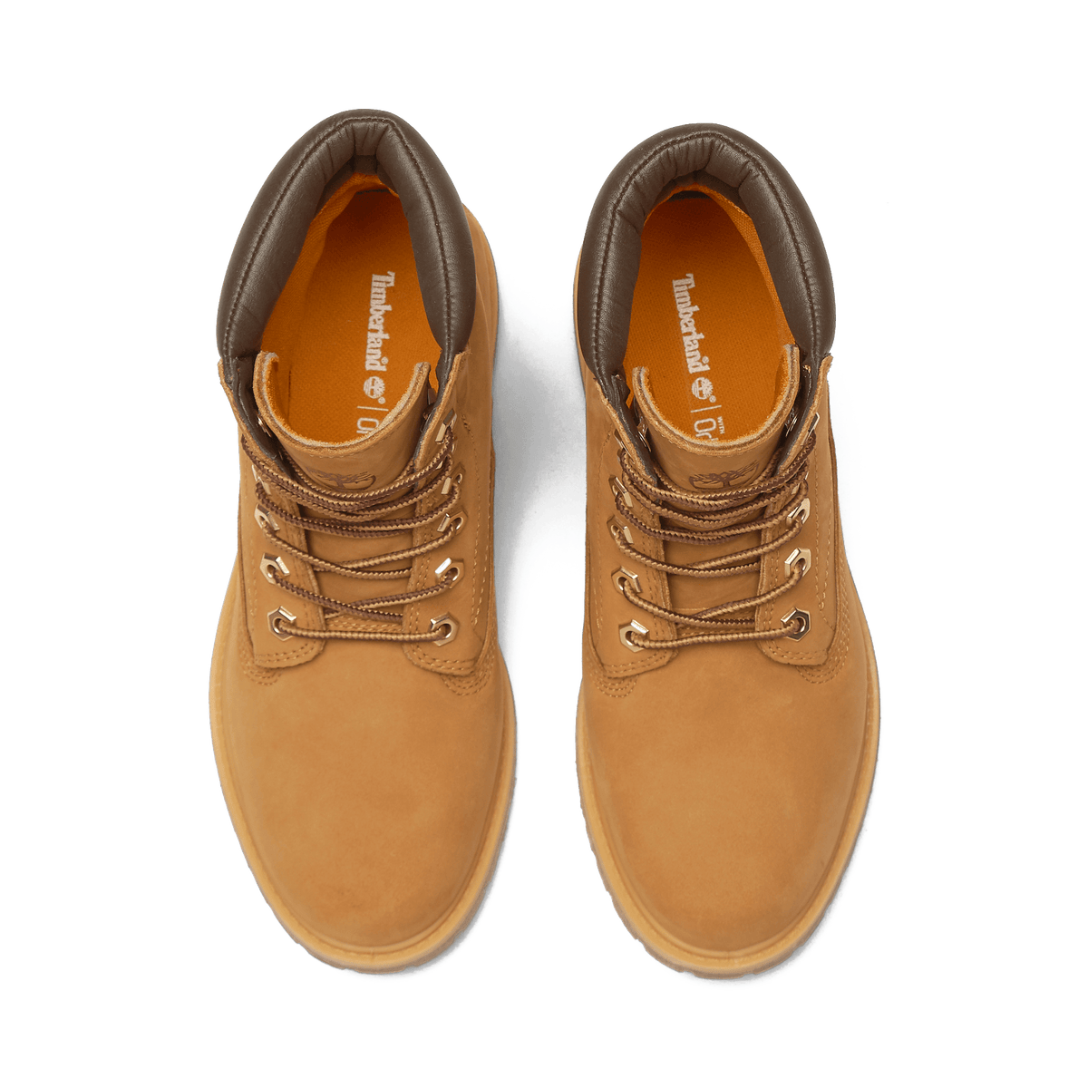 Waterville 6 Inch Lace Up Waterproof Boot Wheat