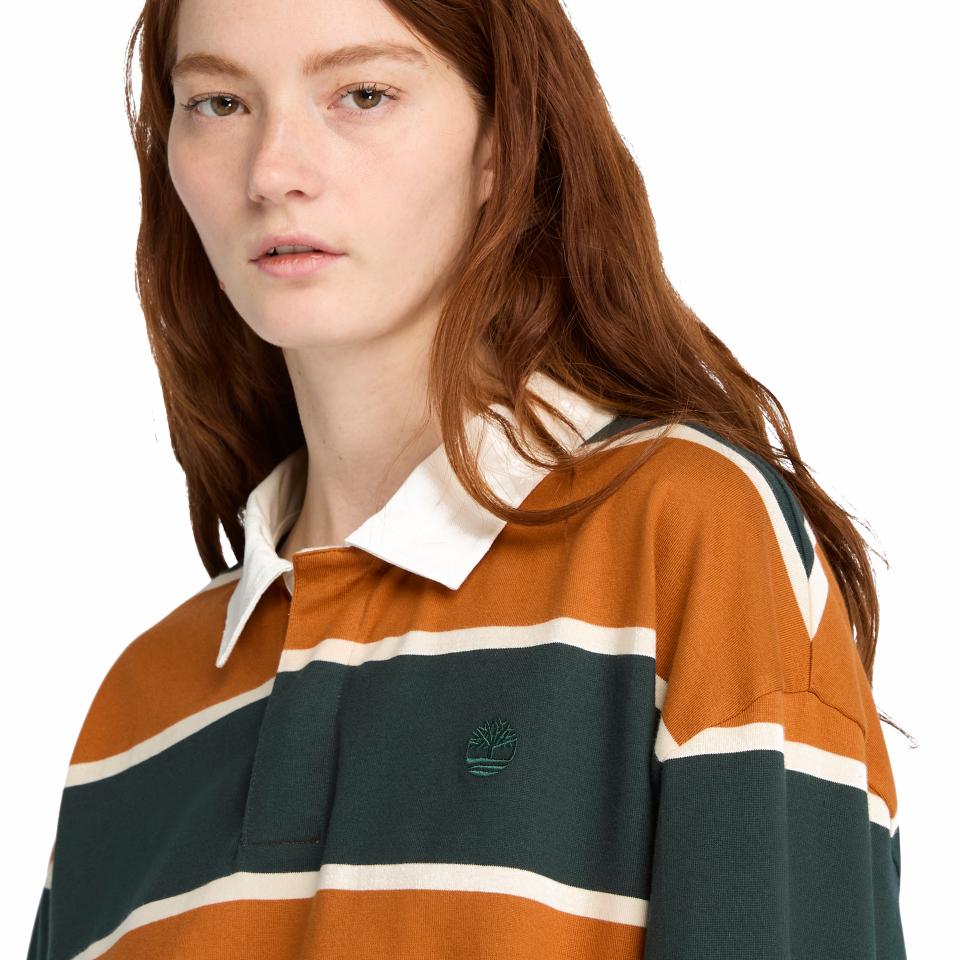 Rugby Polo Shirt Lth Brown-Green Gables