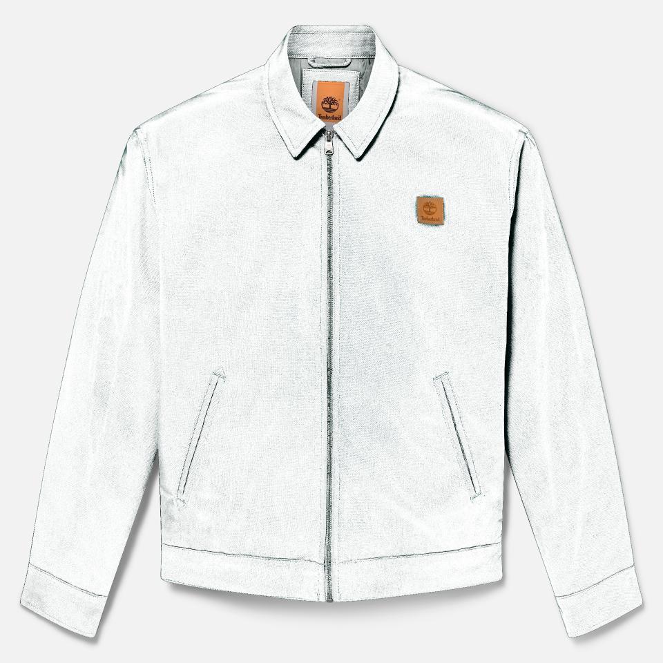 Hollis Insulated Canvas Jacket Green Gables