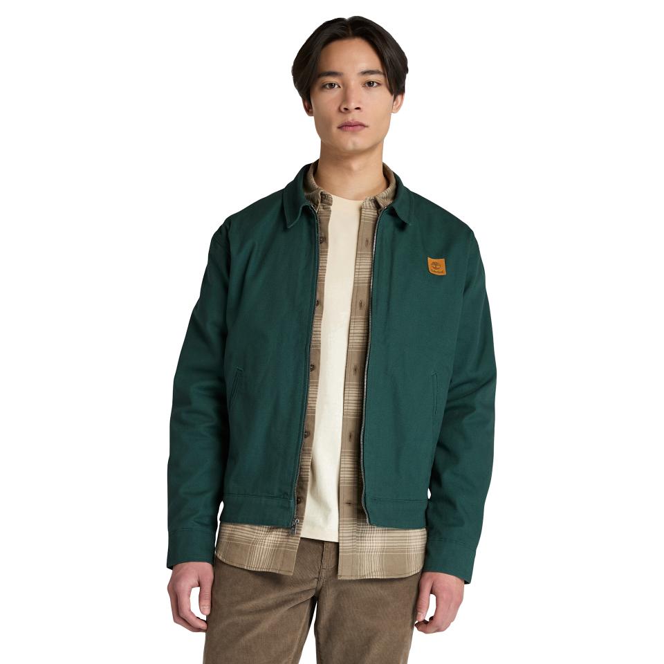 Hollis Insulated Canvas Jacket Green Gables