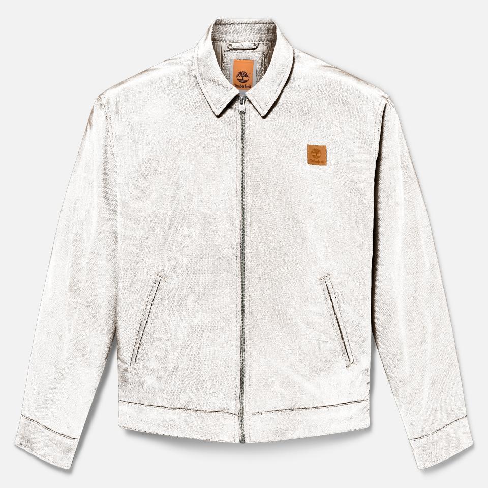 Hollis Insulated Canvas Jacket Chocolate Chip