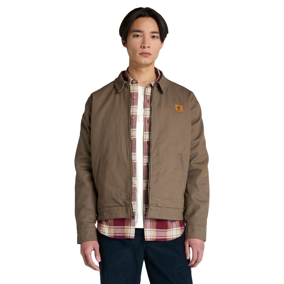 Hollis Insulated Canvas Jacket Chocolate Chip