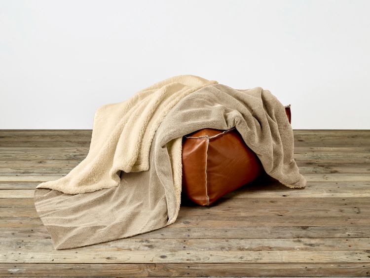 Luxury Collection - Laya Safari