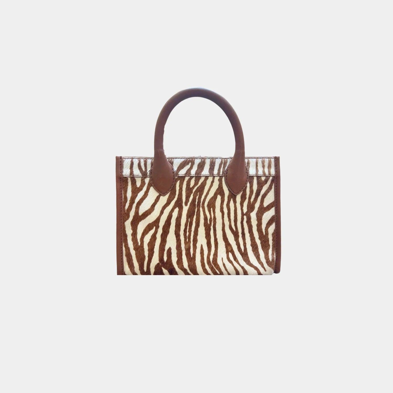 Ana Zebra