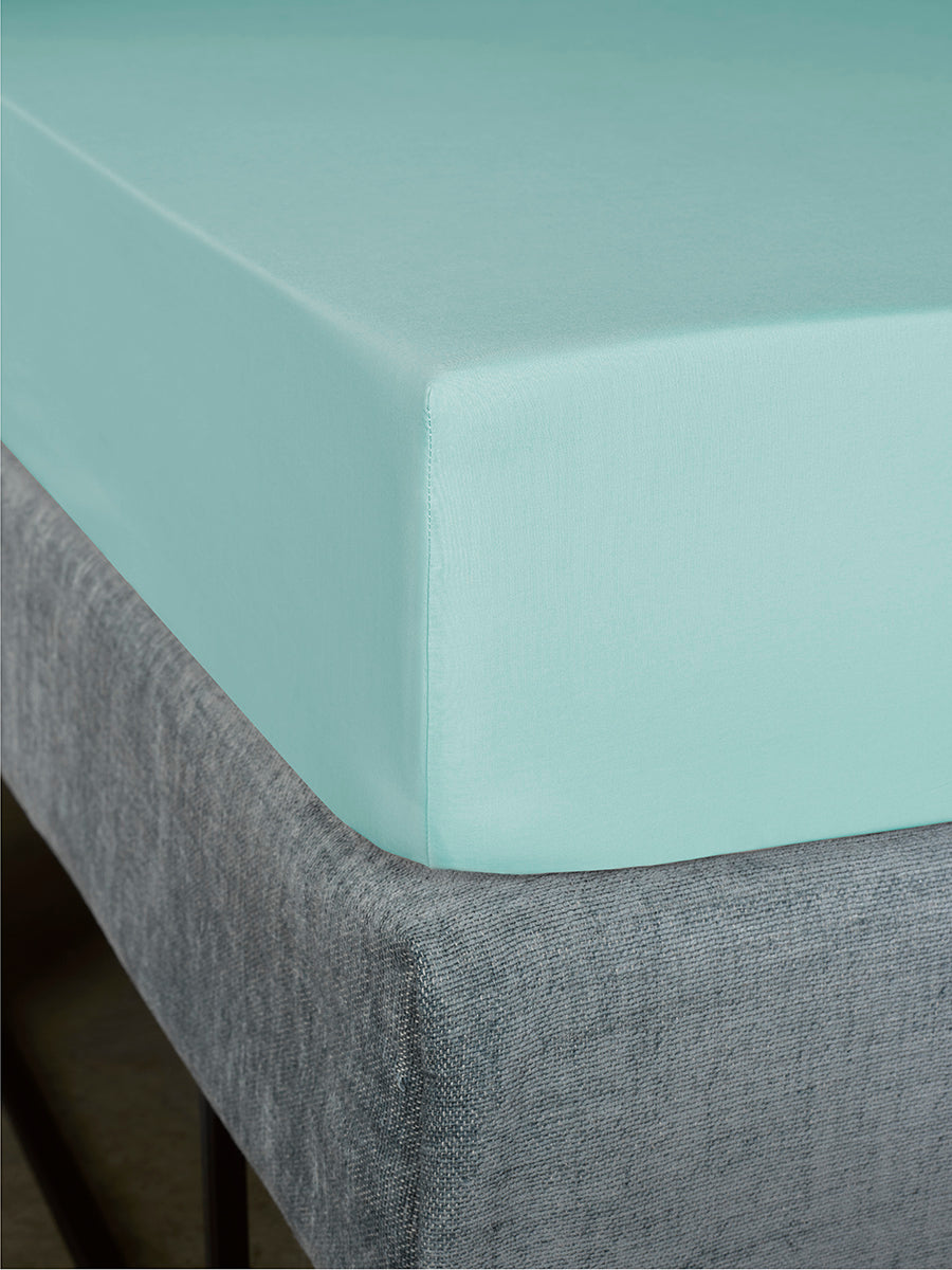 Luxury Collection - Bumblebee Plume