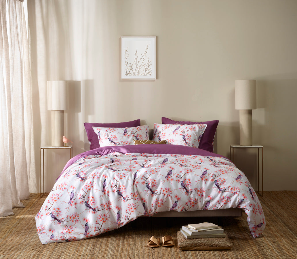 Luxury Collection - Starling Elderberry