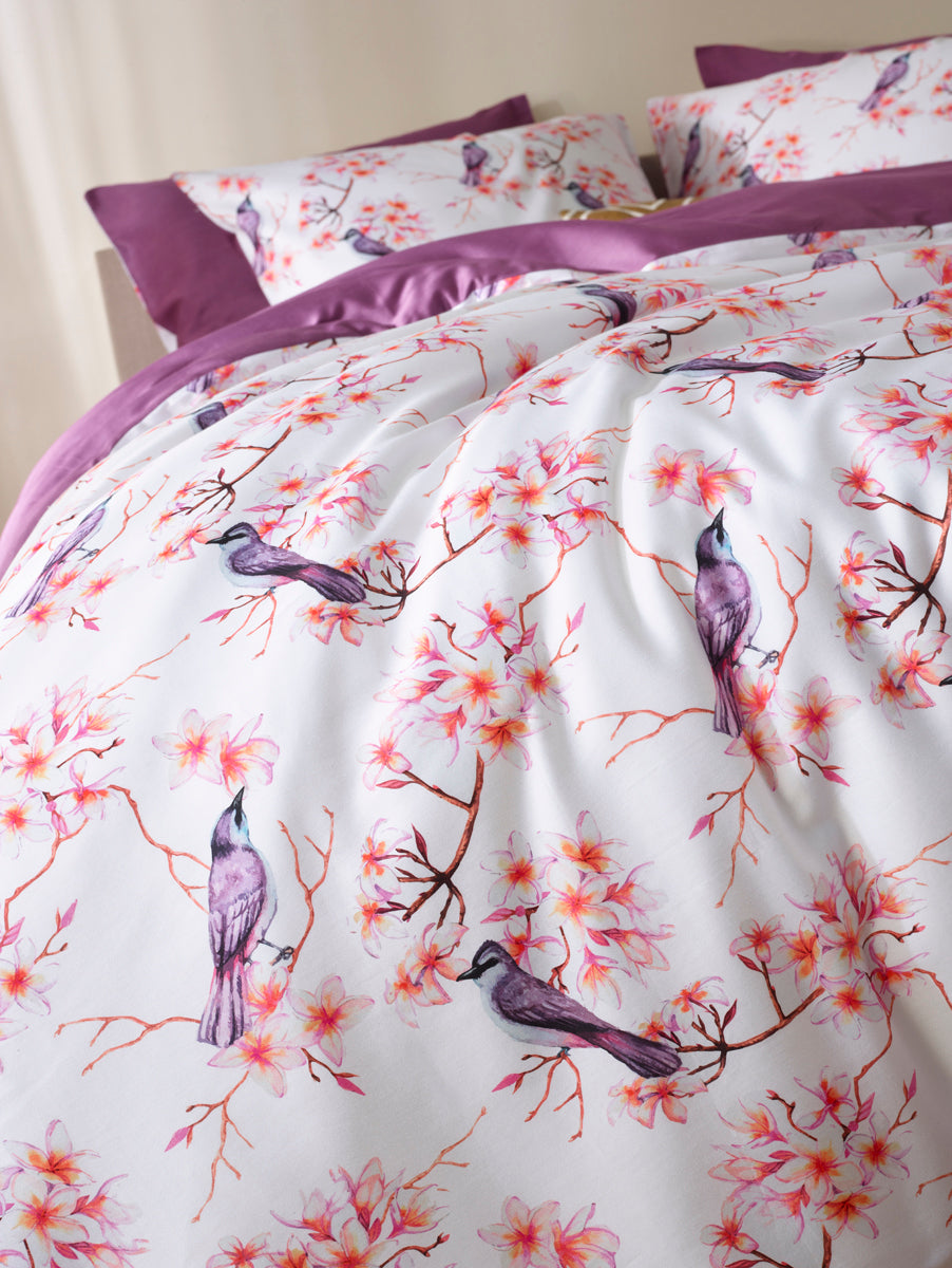 Luxury Collection - Starling Elderberry