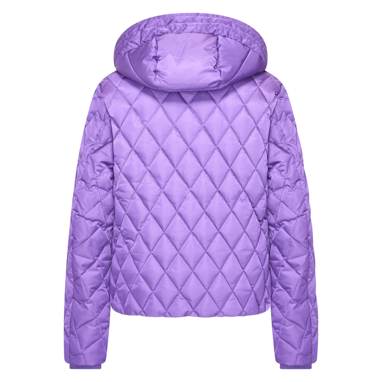 Hv Society - Jas - Purple