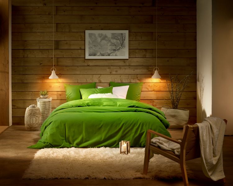 Luxury Collection - Laura Cactus